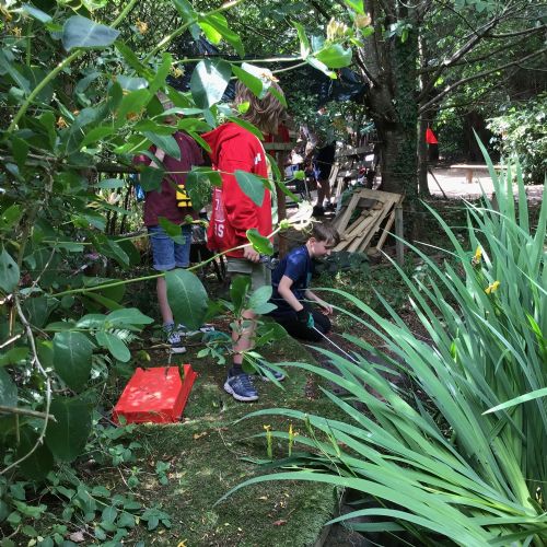 Forest School Fun